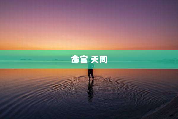 命宫 天同