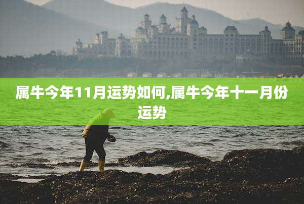 属牛今年11月运势如何,属牛今年十一月份运势