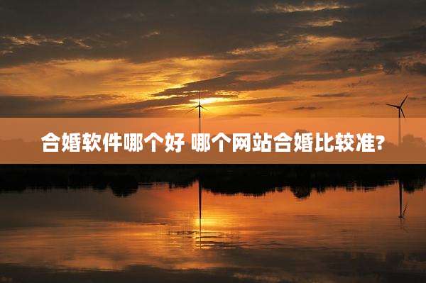 合婚软件哪个好 哪个网站合婚比较准?