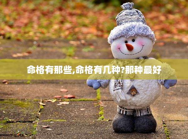 命格有那些,命格有几种?那种最好