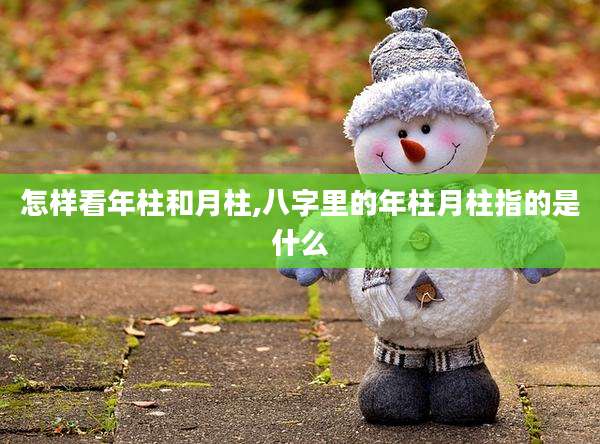 怎样看年柱和月柱,八字里的年柱月柱指的是什么