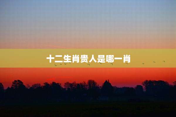 十二生肖贵人是哪一肖