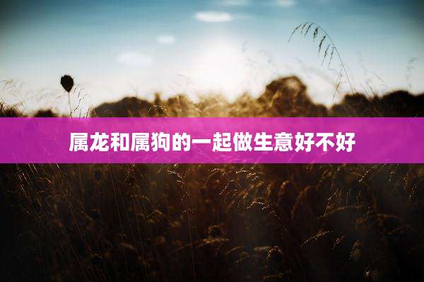 属龙和属狗的一起做生意好不好