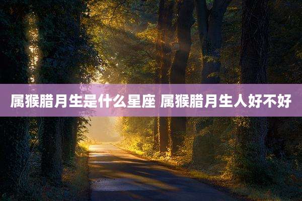 属猴腊月生是什么星座 属猴腊月生人好不好