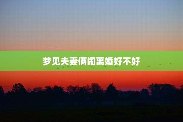 梦见夫妻俩闹离婚好不好