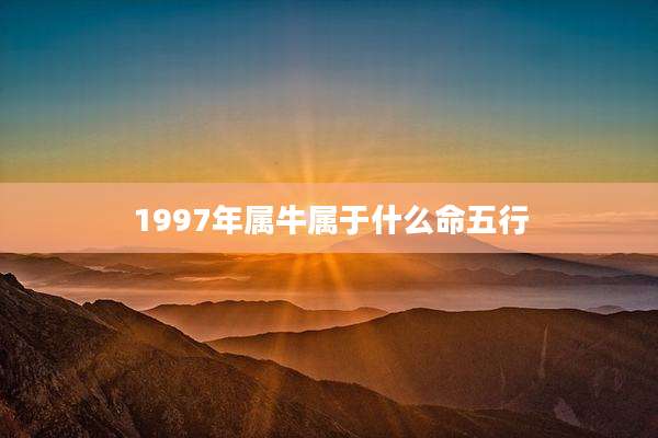 1997年属牛属于什么命五行