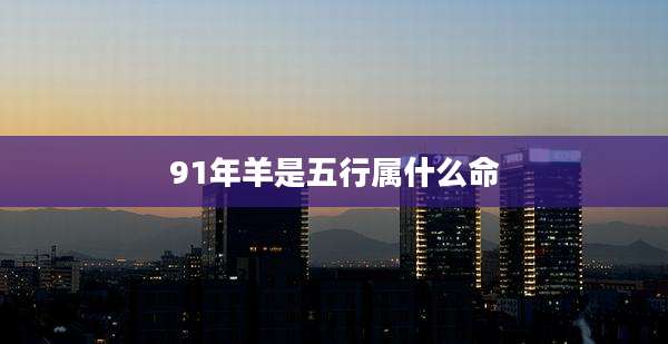 91年羊是五行属什么命