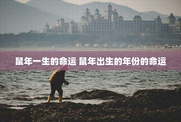 鼠年一生的命运 鼠年出生的年份的命运
