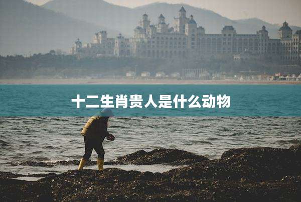 十二生肖贵人是什么动物