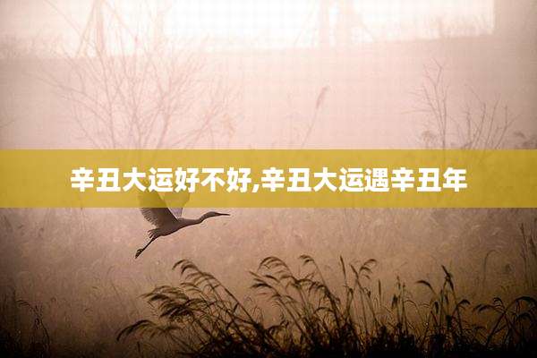 辛丑大运好不好,辛丑大运遇辛丑年