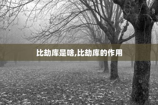 比劫库是啥,比劫库的作用