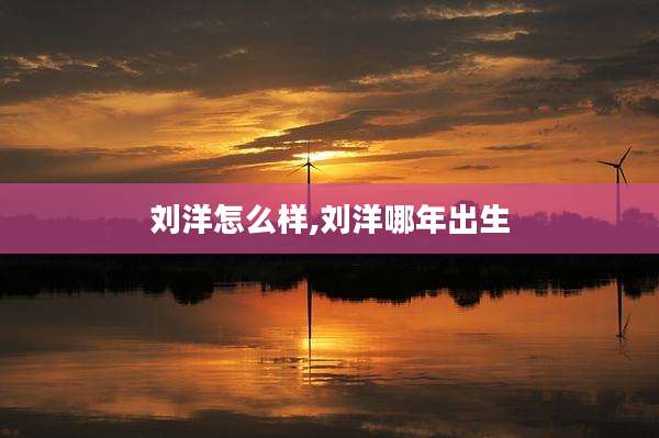 刘洋怎么样,刘洋哪年出生