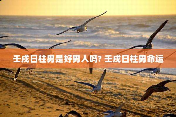 壬戌日柱男是好男人吗? 壬戌日柱男命运