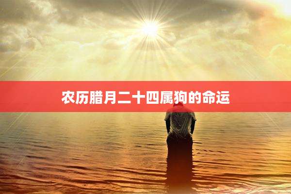 农历腊月二十四属狗的命运