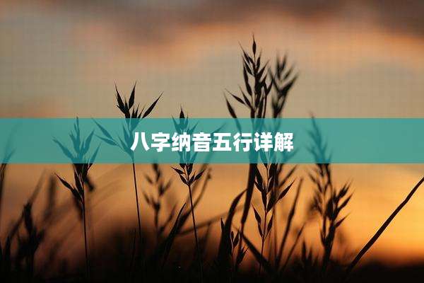 八字纳音五行详解