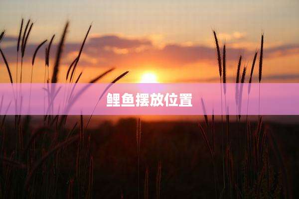 鲤鱼摆放位置