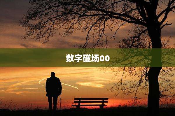 数字磁场00
