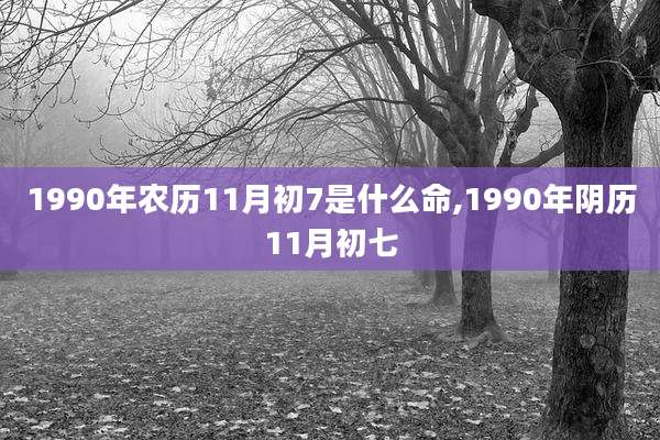 1990年农历11月初7是什么命,1990年阴历11月初七