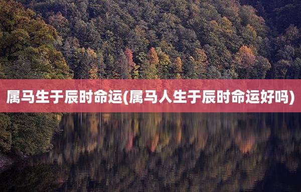 属马生于辰时命运(属马人生于辰时命运好吗)