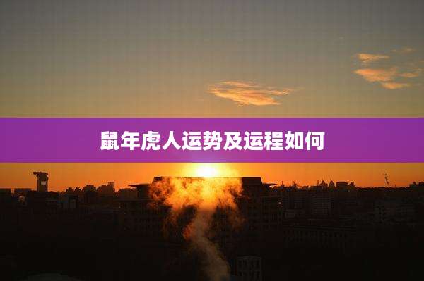 鼠年虎人运势及运程如何