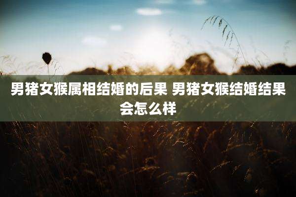 男猪女猴属相结婚的后果 男猪女猴结婚结果会怎么样