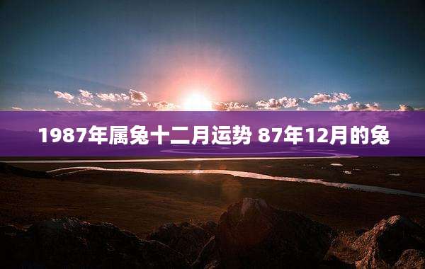 1987年属兔十二月运势 87年12月的兔
