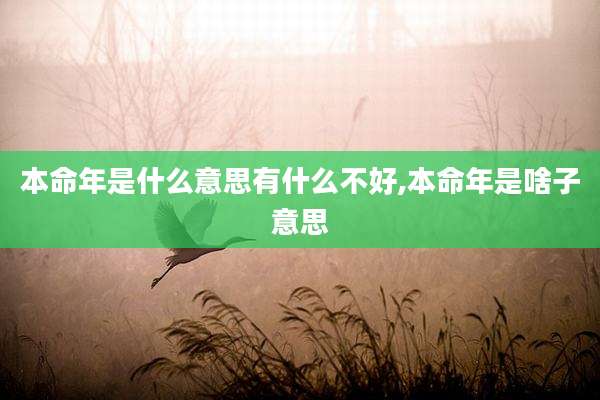 本命年是什么意思有什么不好,本命年是啥子意思
