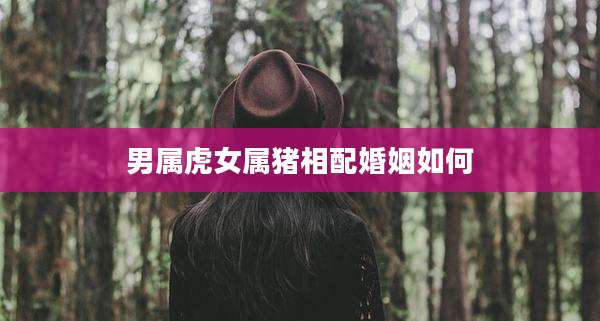 男属虎女属猪相配婚姻如何