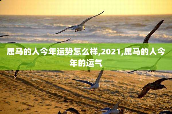 属马的人今年运势怎么样,2021,属马的人今年的运气