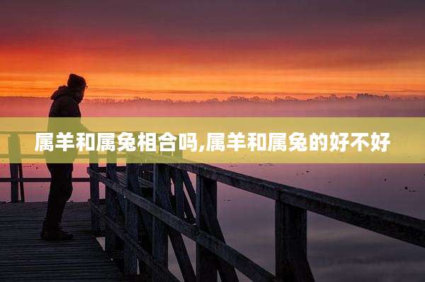 属羊和属兔相合吗,属羊和属兔的好不好