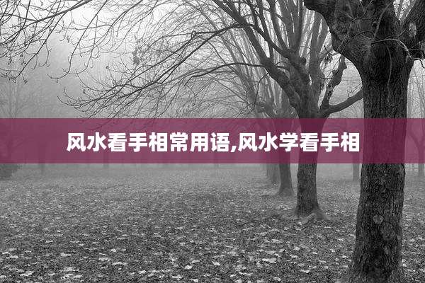 风水看手相常用语,风水学看手相