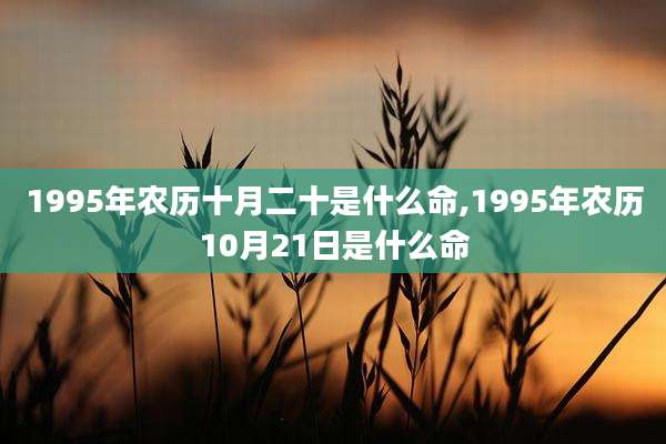 1995年农历十月二十是什么命,1995年农历10月21日是什么命