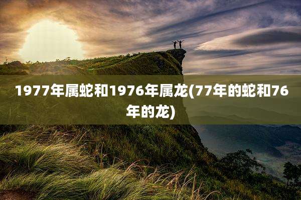 1977年属蛇和1976年属龙(77年的蛇和76年的龙)