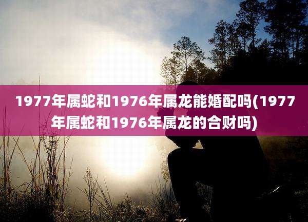 1977年属蛇和1976年属龙能婚配吗(1977年属蛇和1976年属龙的合财吗)