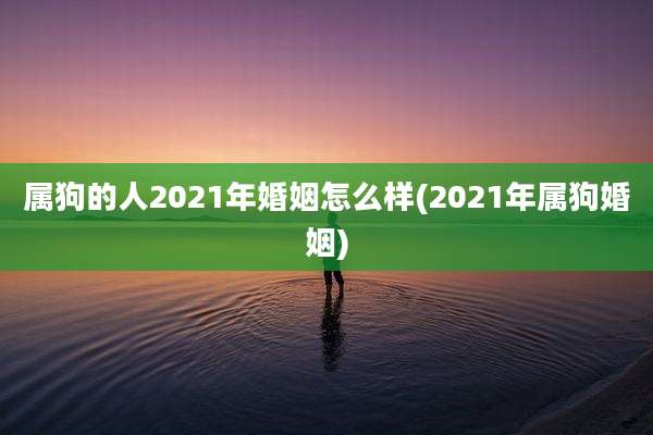 属狗的人2021年婚姻怎么样(2021年属狗婚姻)