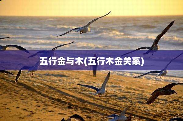 五行金与木(五行木金关系)