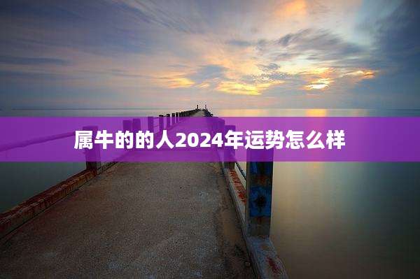 属牛的的人2024年运势怎么样