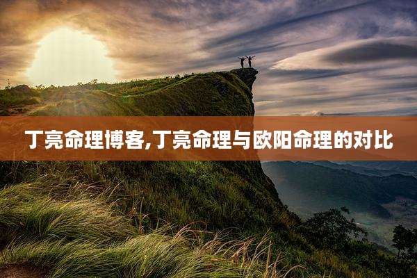 丁亮命理博客,丁亮命理与欧阳命理的对比
