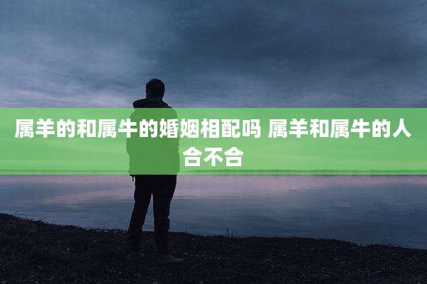 属羊的和属牛的婚姻相配吗 属羊和属牛的人合不合