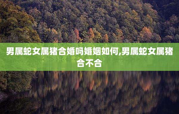 男属蛇女属猪合婚吗婚姻如何,男属蛇女属猪合不合