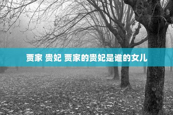 贾家 贵妃 贾家的贵妃是谁的女儿