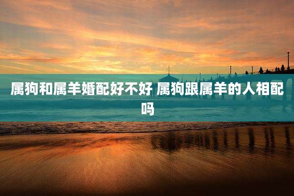 属狗和属羊婚配好不好 属狗跟属羊的人相配吗