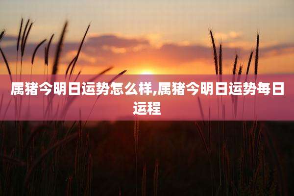 属猪今明日运势怎么样,属猪今明日运势每日运程