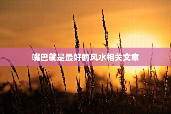嘴巴就是最好的风水相关文章