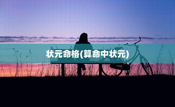状元命格(算命中状元)