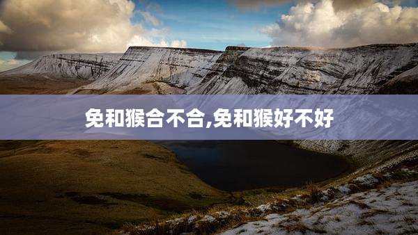 免和猴合不合,免和猴好不好