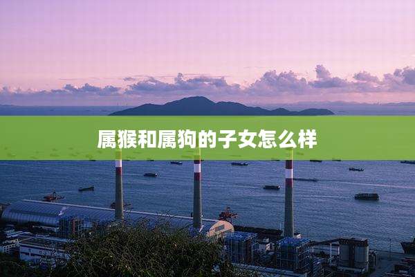 属猴和属狗的子女怎么样