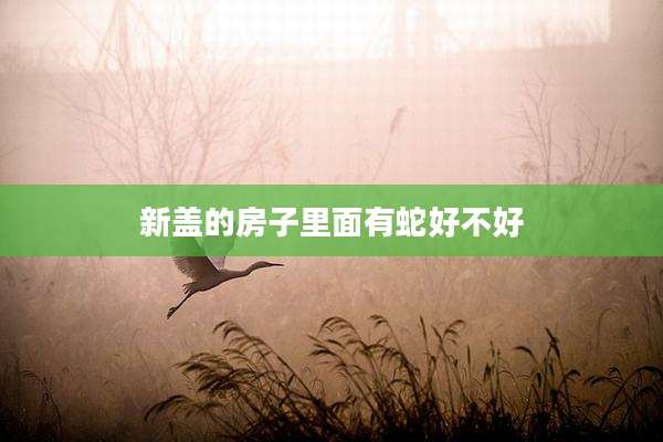新盖的房子里面有蛇好不好