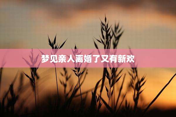 梦见亲人离婚了又有新欢