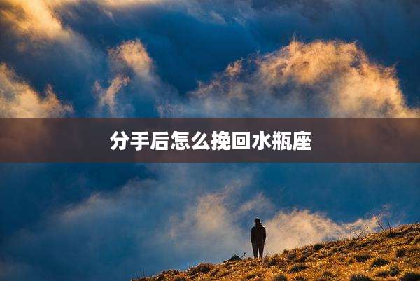 分手后怎么挽回水瓶座